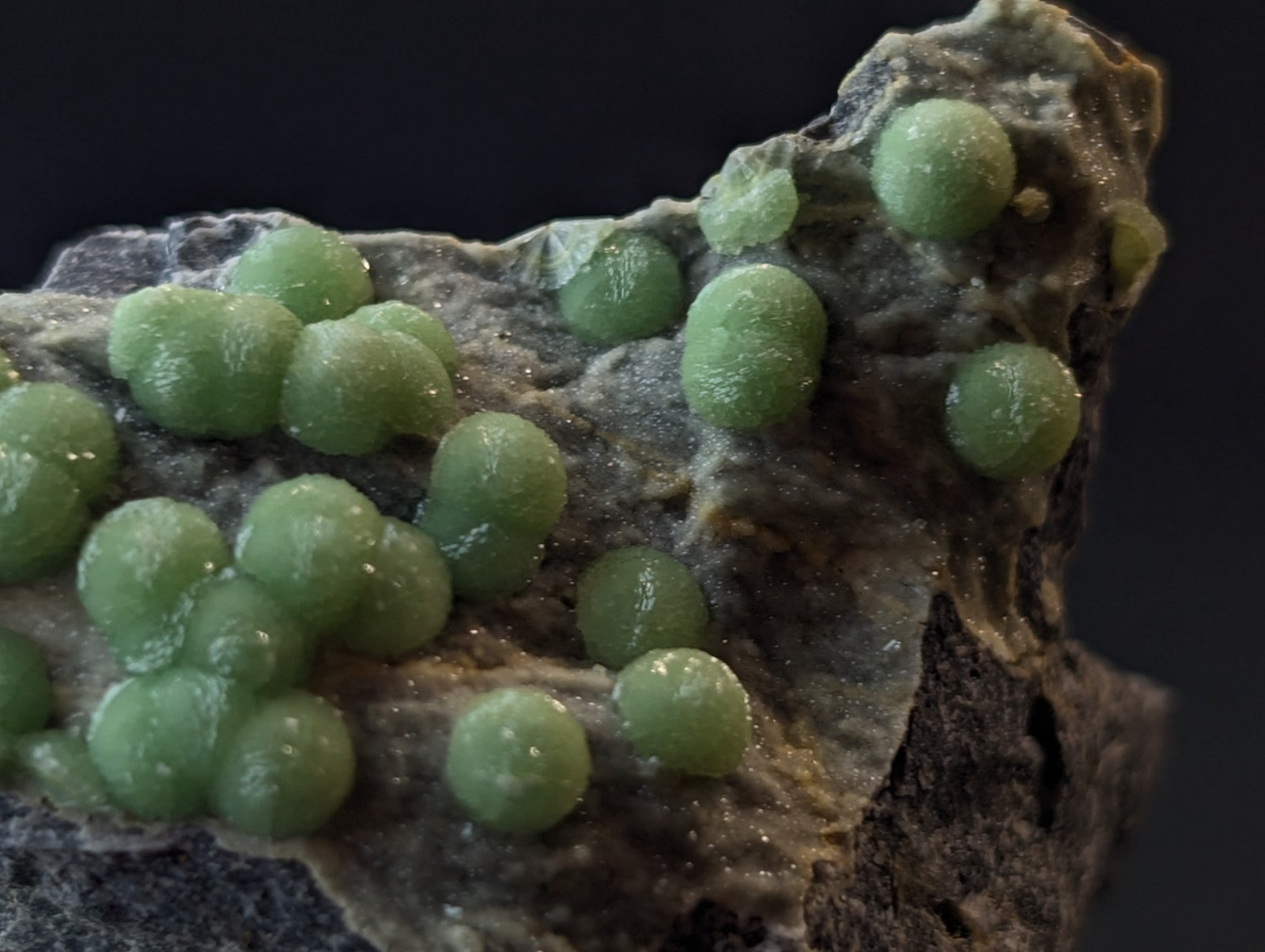 Green, translucent spherical crystals embedded in a rough, dark gray rock matrix.