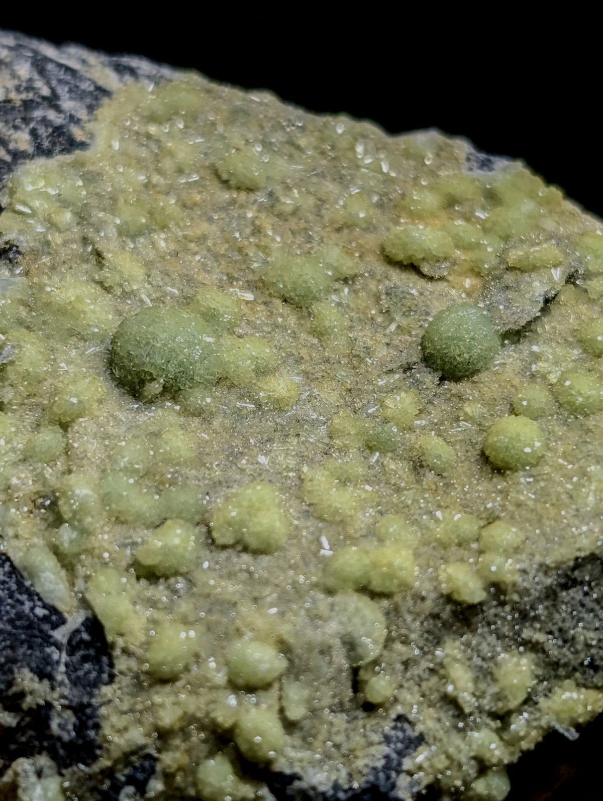 A cluster of pale green, rounded mineral crystals growing from a dark gray rock matrix.