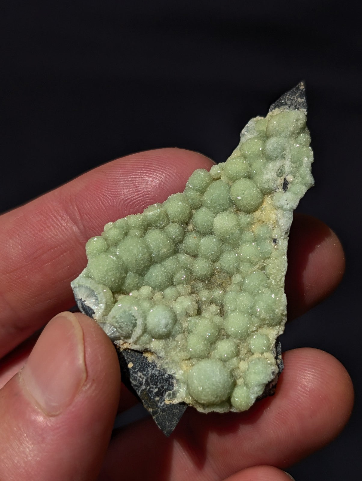A light green, bumpy mineral specimen with rounded nodules clustered on a dark base.