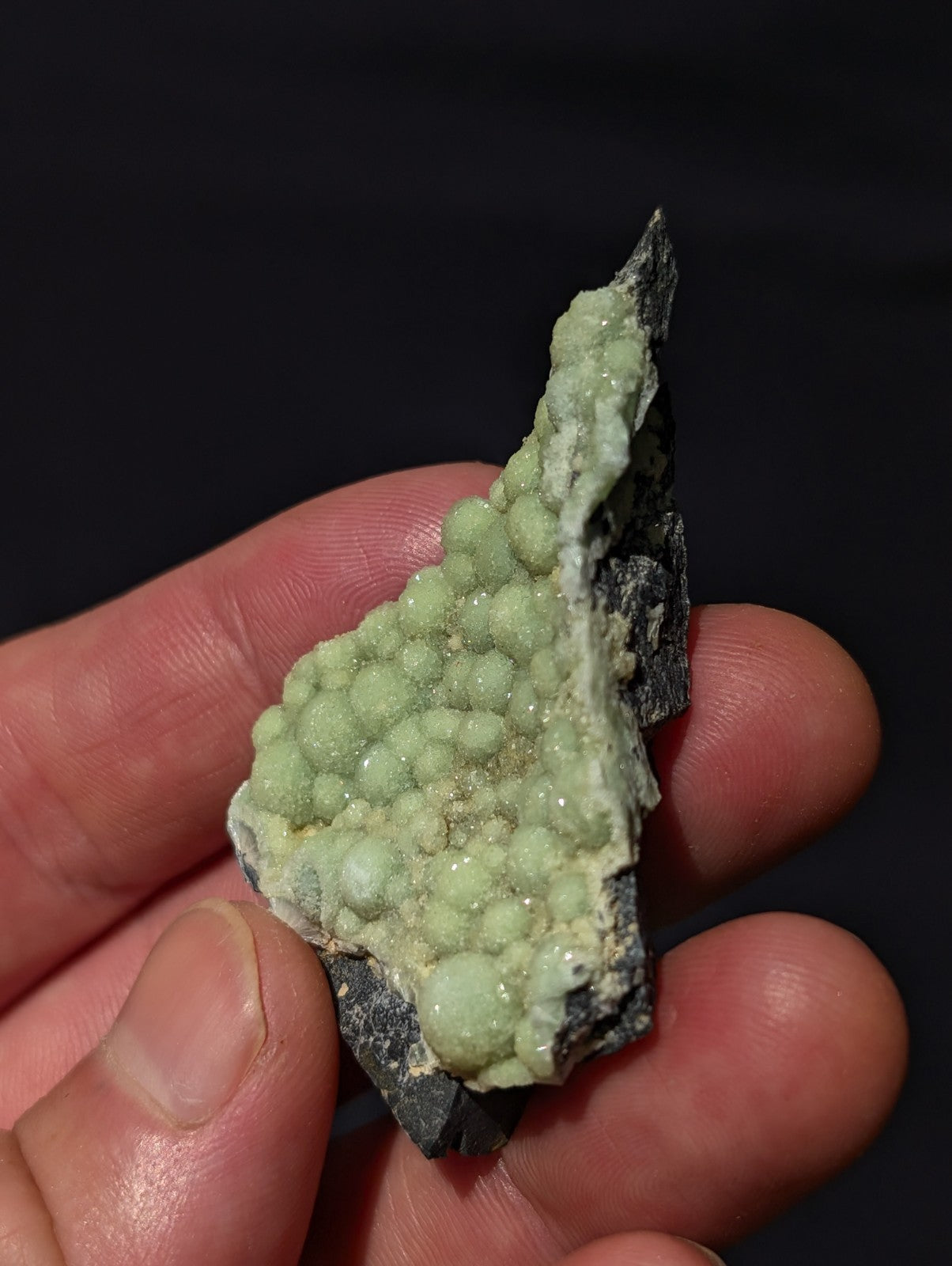 A hand holds a specimen of green, spherical mineral crystals growing on a dark rock matrix.