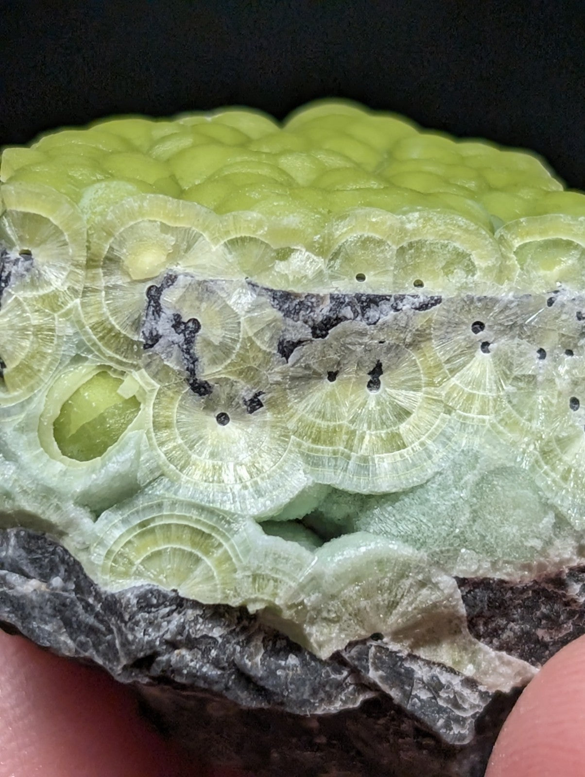 A vibrant lime-green, translucent mineral specimen featuring intricate concentric circular patterns and a dark gray matrix.