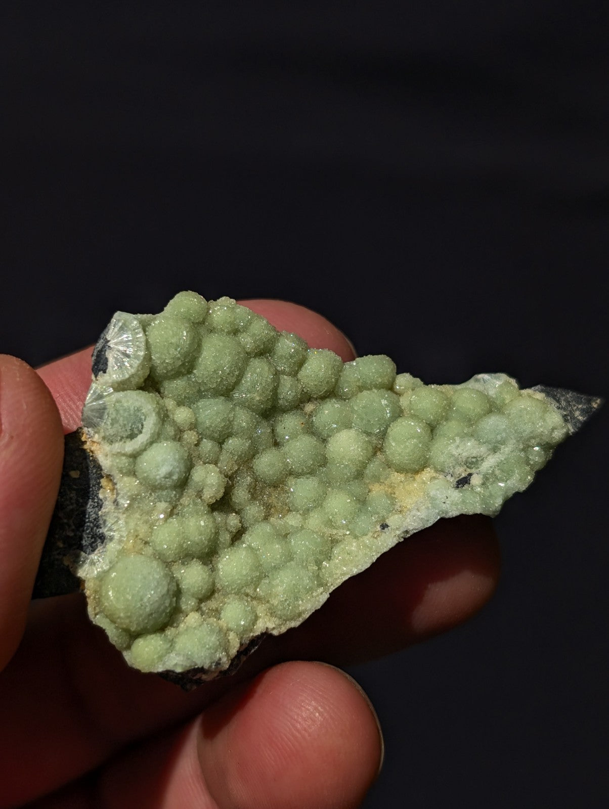 A hand holds a specimen of green, spherical mineral crystals growing densely on a dark matrix.