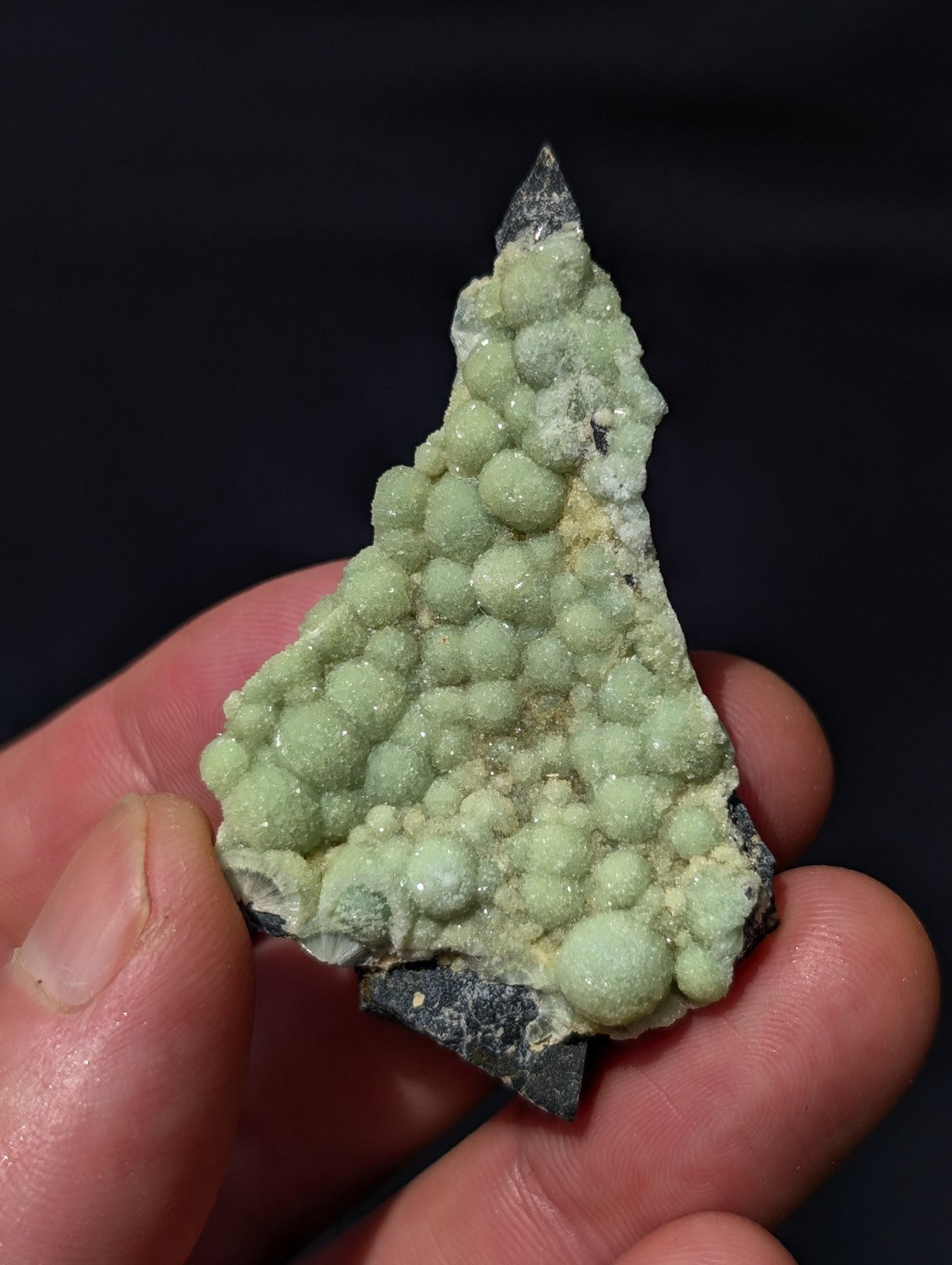 A hand holds a triangular mineral specimen featuring clusters of pale green, rounded nodules growing from a dark gray base.