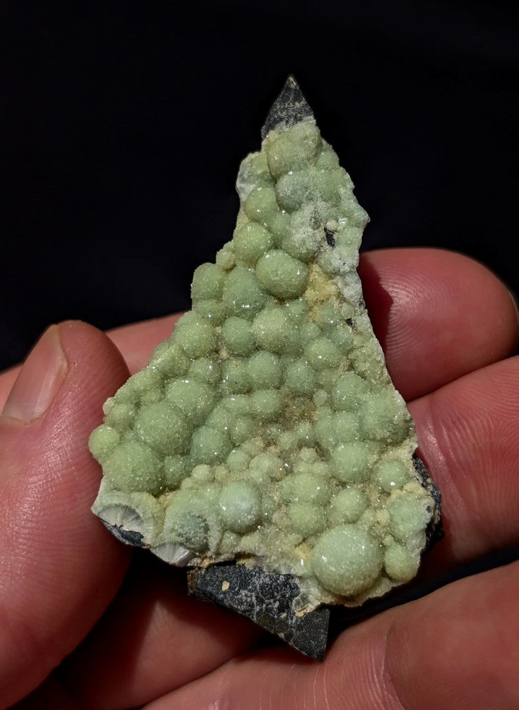 A hand holds a triangular mineral specimen featuring numerous light green, rounded crystals growing from a darker matrix.