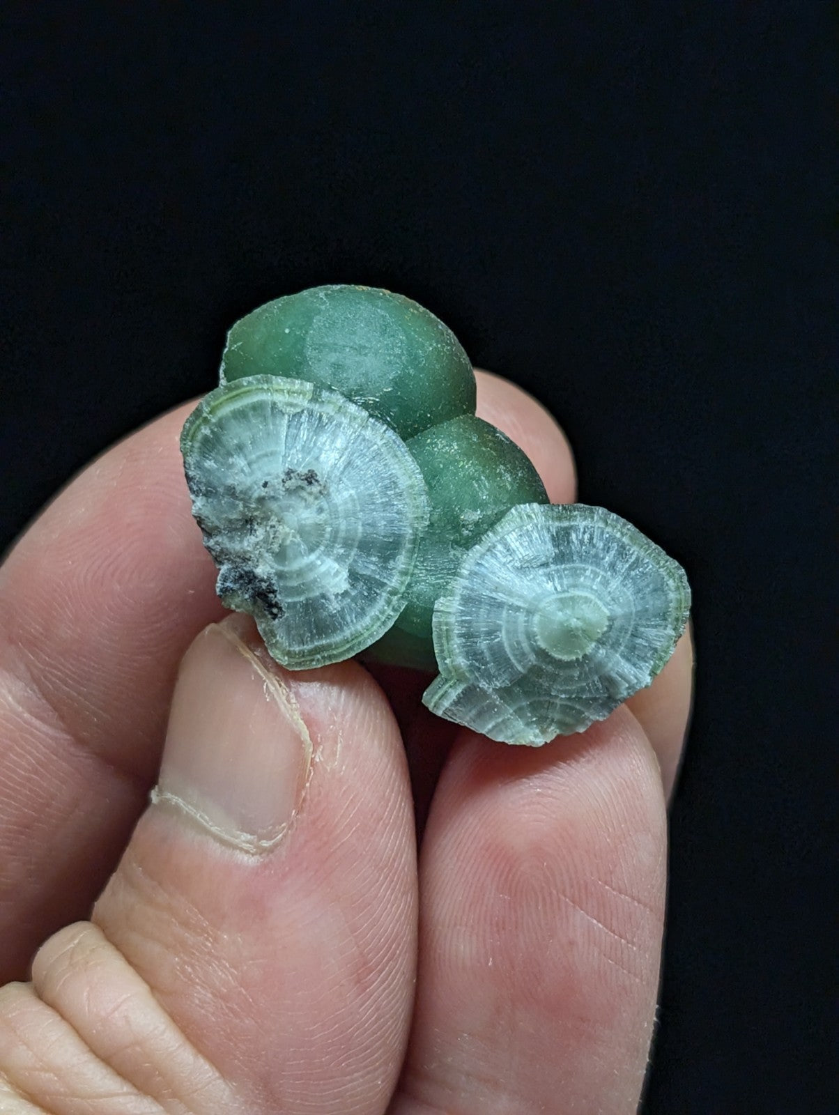 A cluster of translucent green mineral specimens with concentric, layered patterns and subtle internal inclusions.