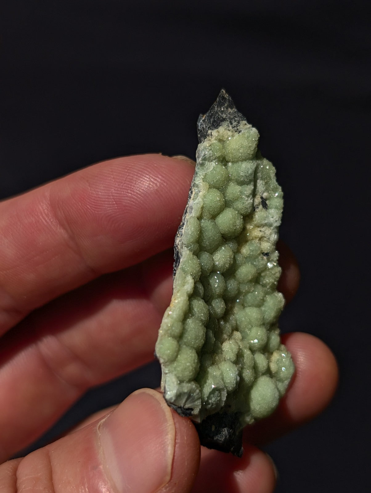 A hand holds a pale green, bumpy mineral specimen with crystalline formations and dark matrix.