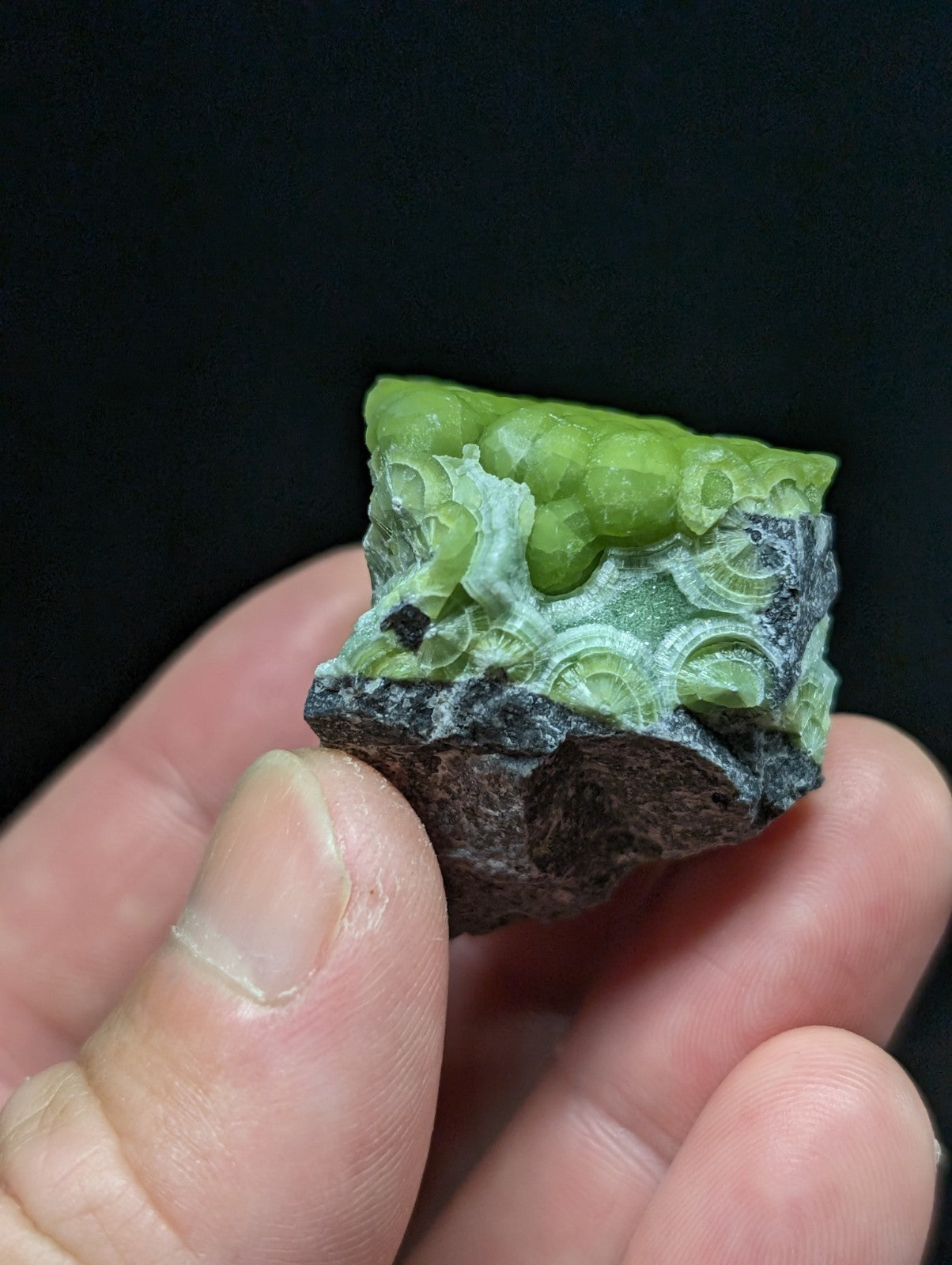 A vibrant green, naturally occurring mineral specimen with a textured surface featuring circular patterns and embedded in dark rock.