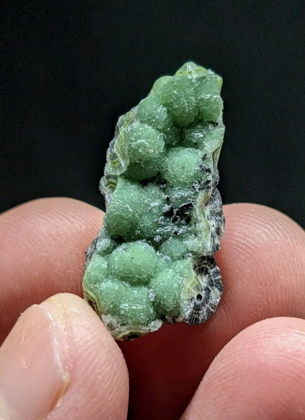 A vibrant green, textured mineral specimen with rounded crystalline formations and a dark, speckled base.