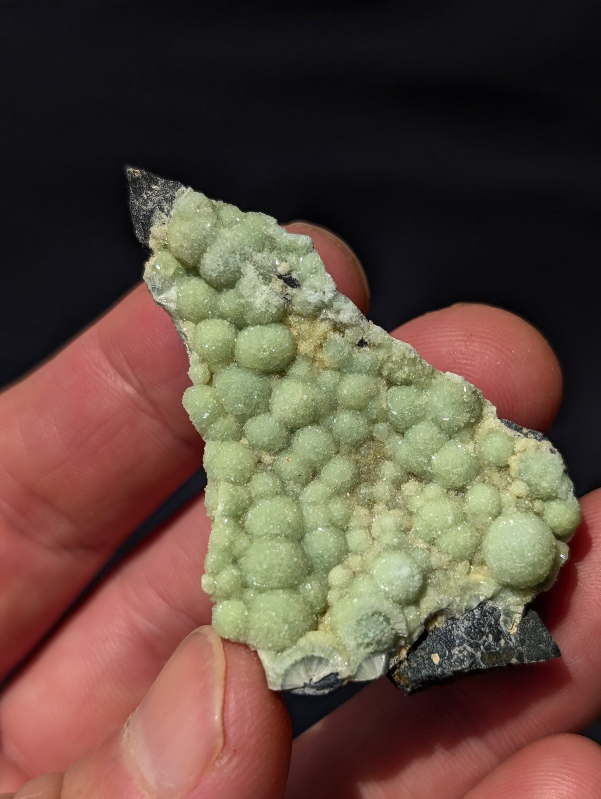 A light green, bubbly mineral specimen with rounded nodules clustered on a dark matrix.