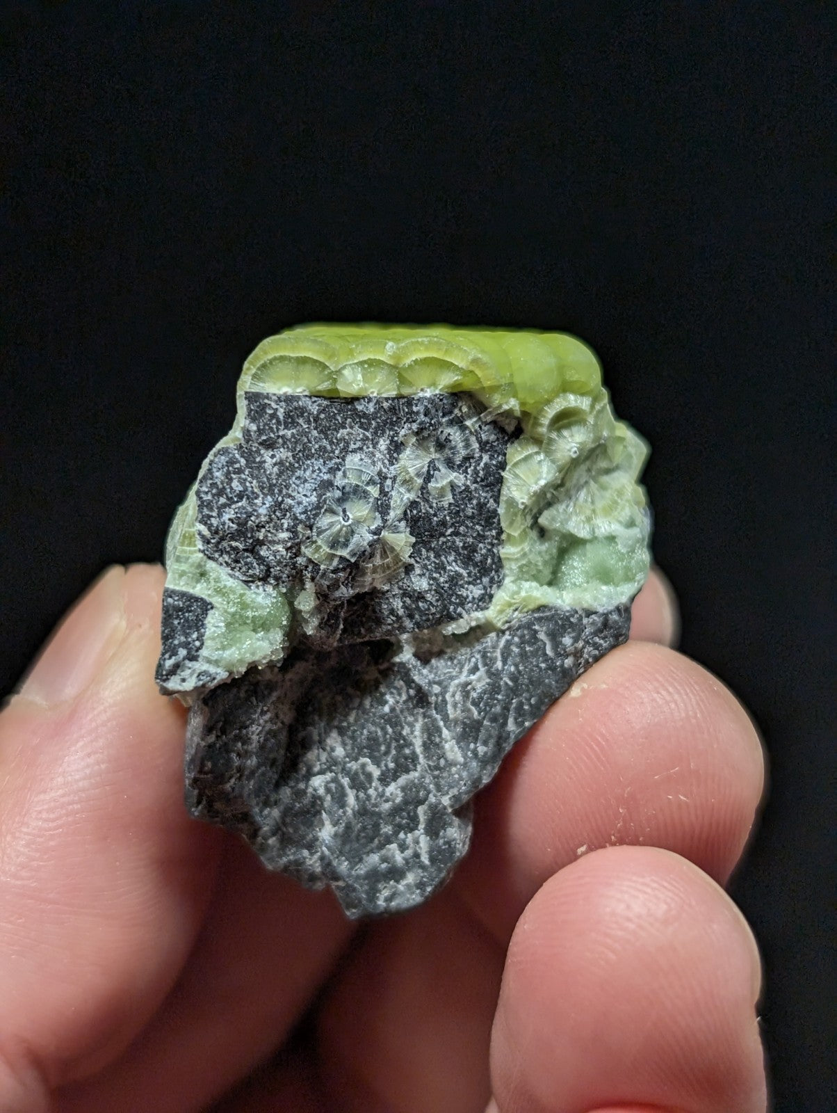 A hand holds a rough, irregularly shaped piece of green and gray stone with visible mineral textures.