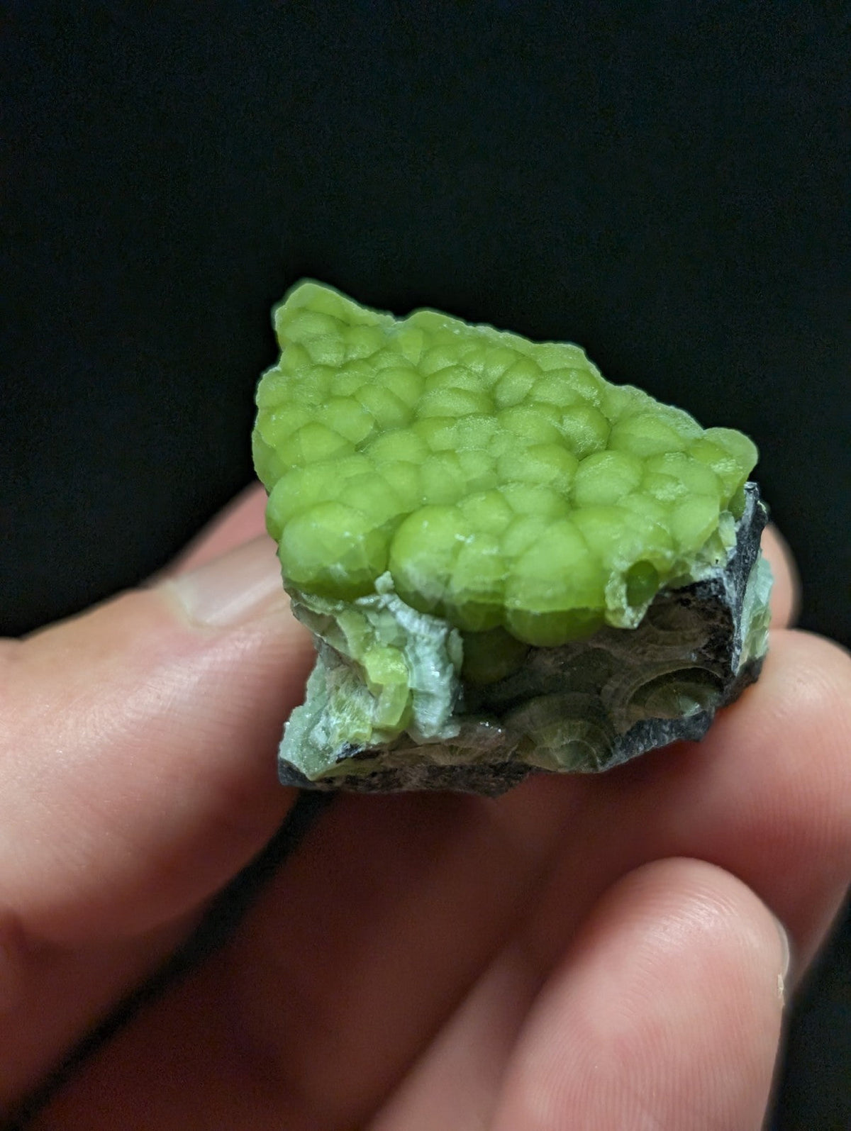 A vibrant green, bumpy mineral specimen with a glossy surface and dark gray matrix base.