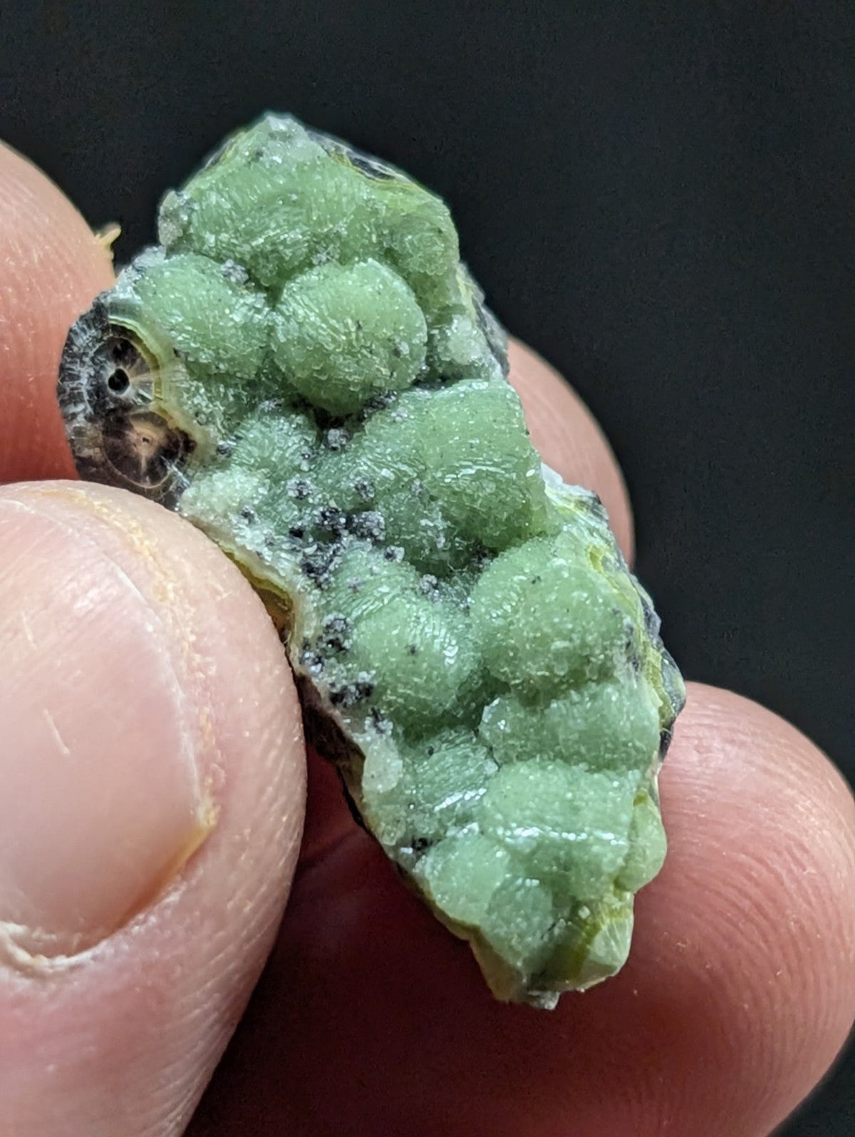 A hand holds a light green, bumpy mineral specimen with rounded crystalline formations and dark speckles.