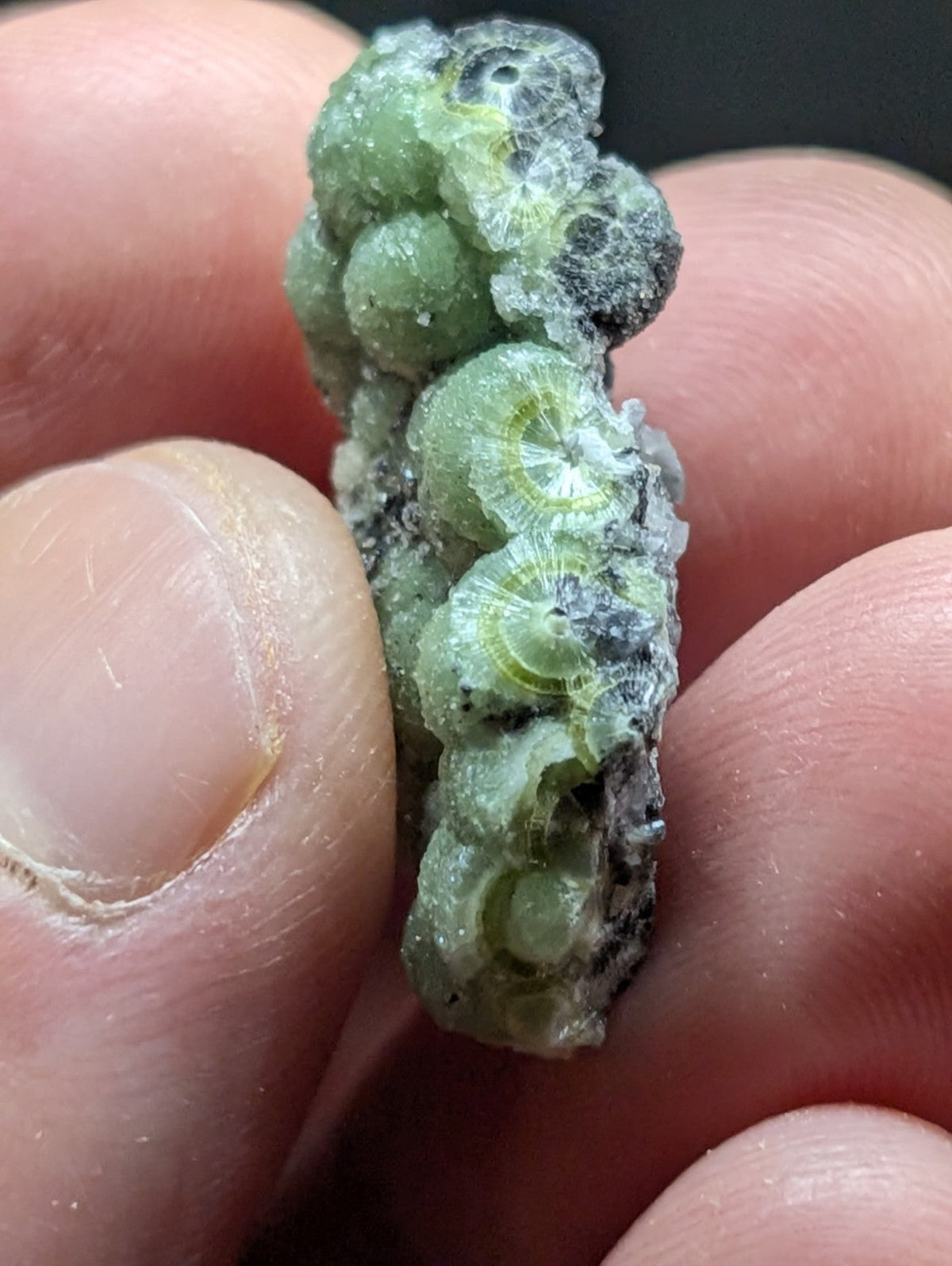 A cluster of green, translucent fossilized coral with circular cross-sections and a rough, textured surface.
