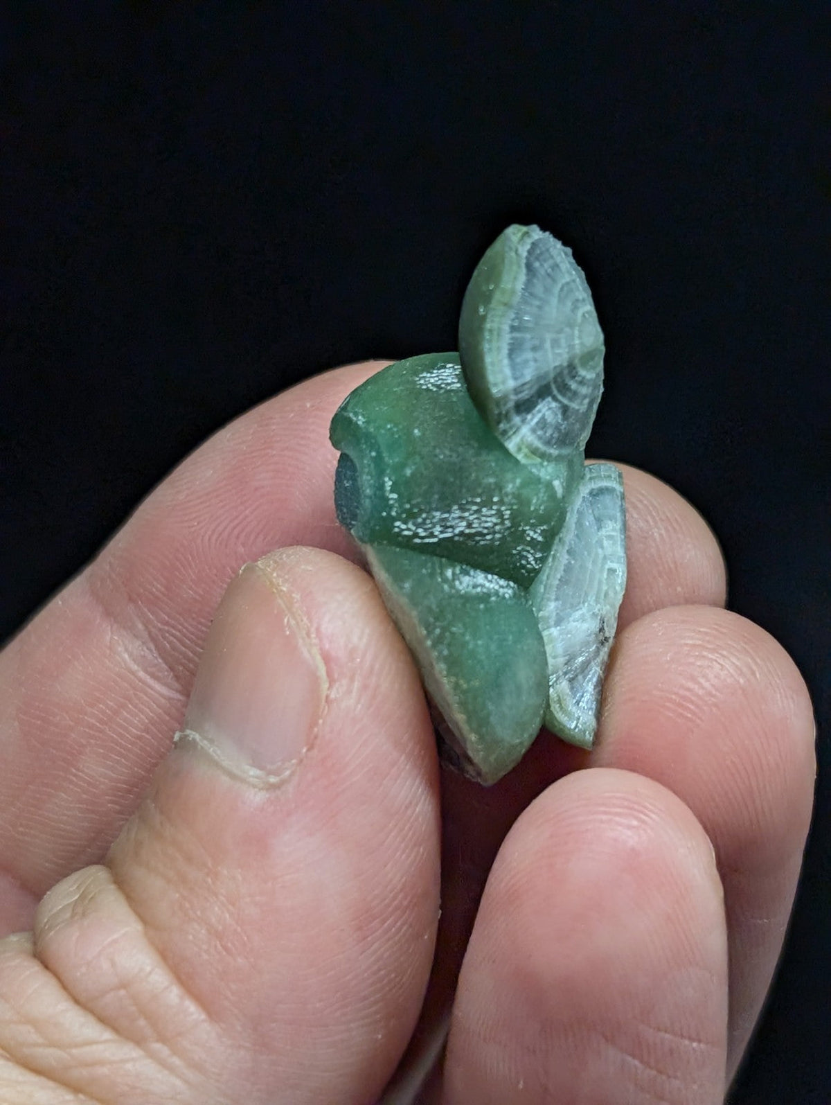 A translucent green jade figurine of a frog with detailed, layered wing-like structures.