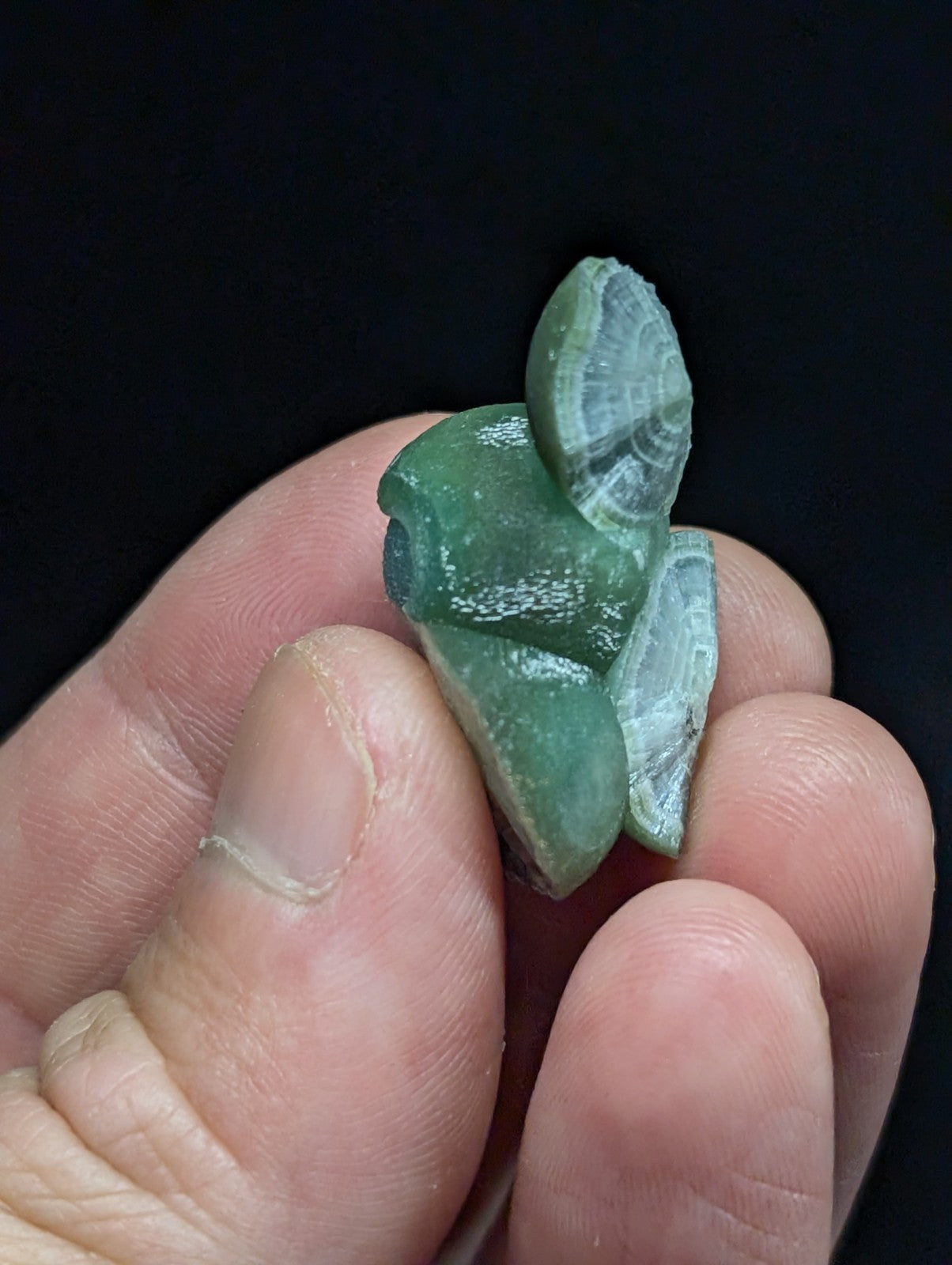 A translucent green jade figurine of a frog with detailed, layered wing-like structures.