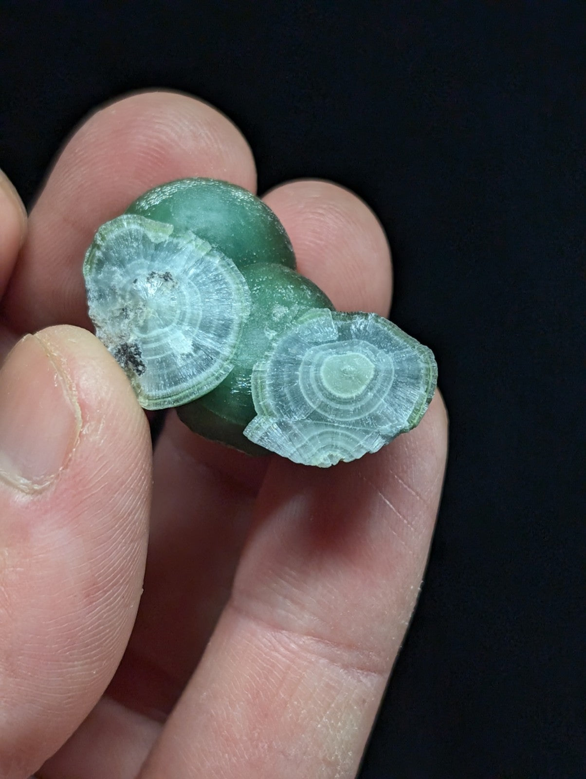 A hand holds a small, polished green agate stone with two circular cross-sections revealing intricate concentric rings.