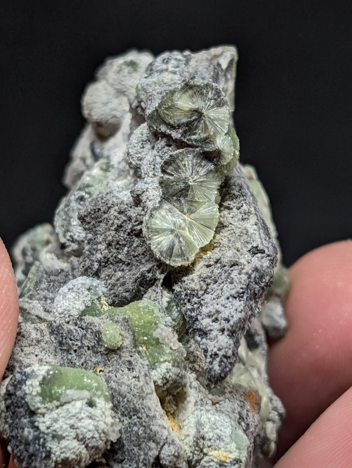 A cluster of translucent green, fan-shaped crystals embedded in a grayish rock matrix.