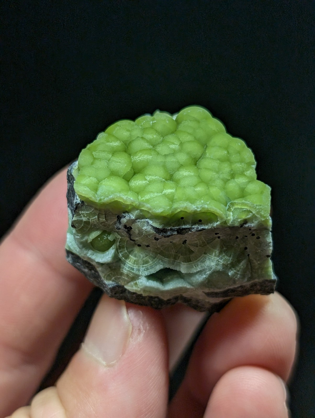 A vibrant green, bumpy-textured mineral specimen with a layered interior featuring translucent grayish-white patterns and dark speckles.