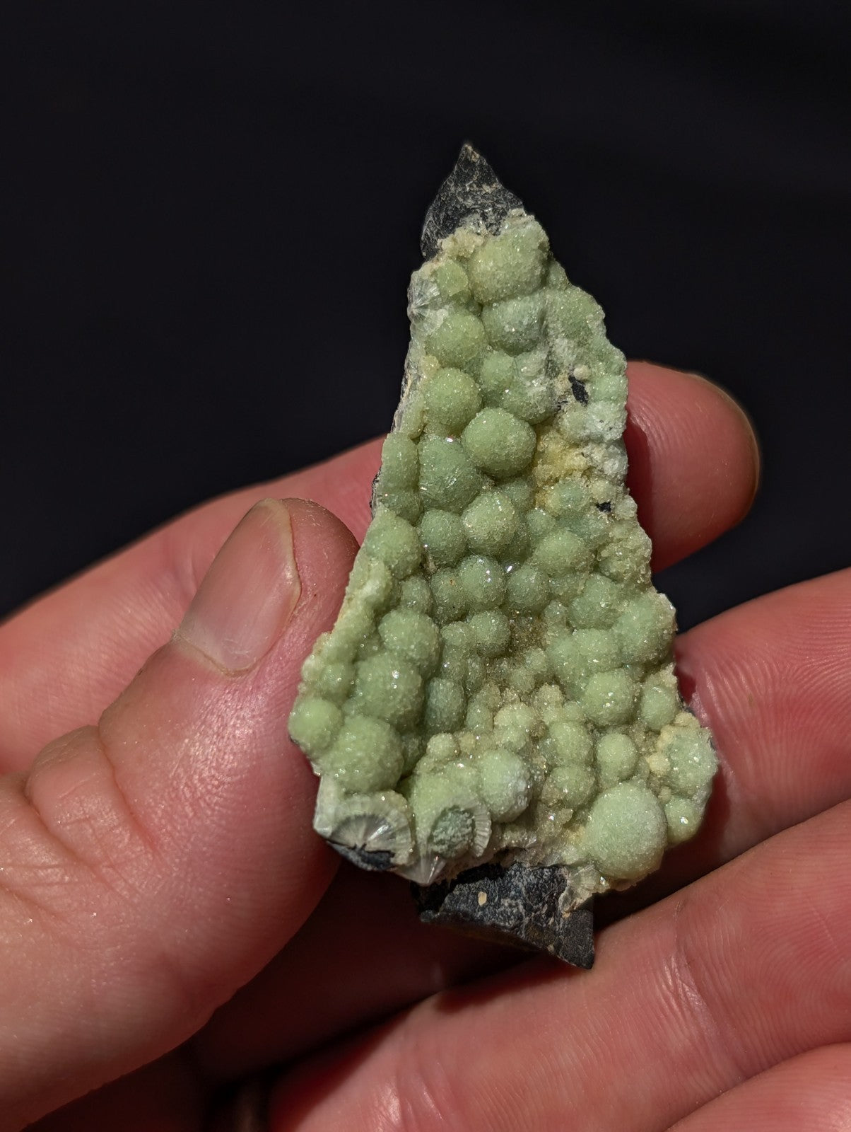 A hand holds a pale green, bumpy mineral specimen with rounded nodules and dark gray matrix.