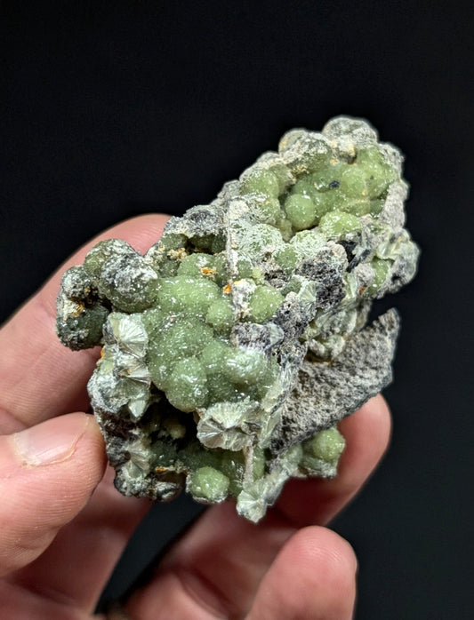 A hand holds a green, clustered mineral specimen with translucent spherical crystals embedded in a grayish matrix.