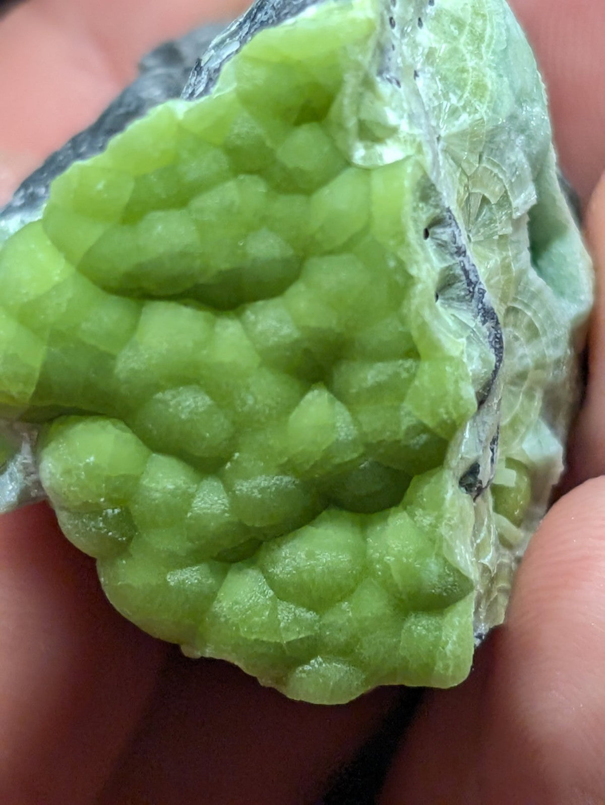 A vibrant green, crystalline mineral specimen with a textured, honeycomb-like surface and dark gray matrix.