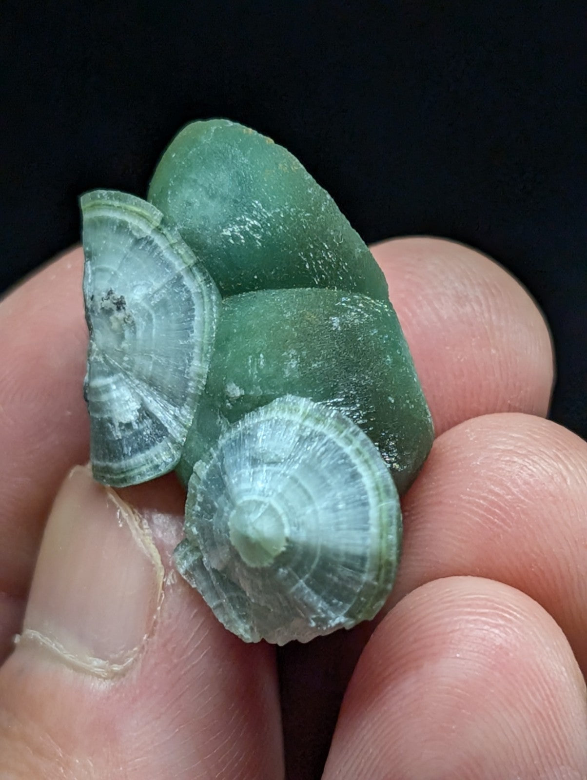 A cluster of translucent green sea glass pieces with concentric circular patterns and a slightly rough, natural texture.