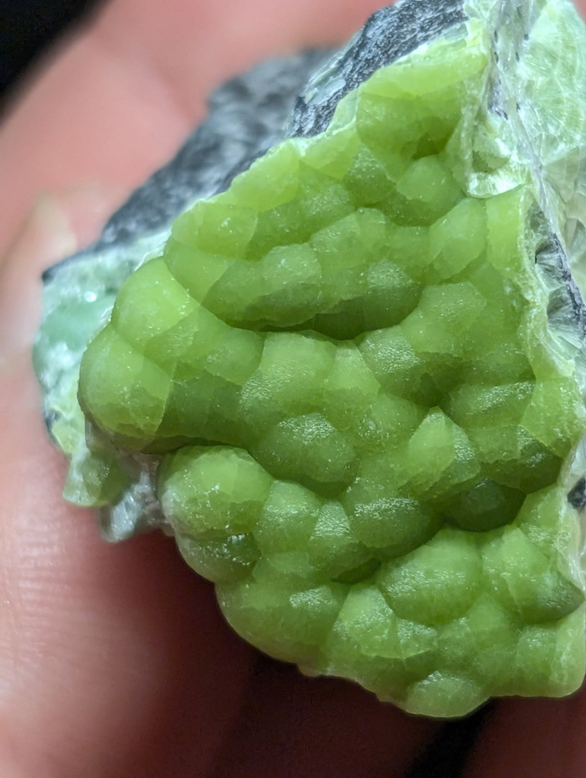 A vibrant green, translucent mineral specimen with a crystalline, honeycomb-like structure embedded in dark gray rock.