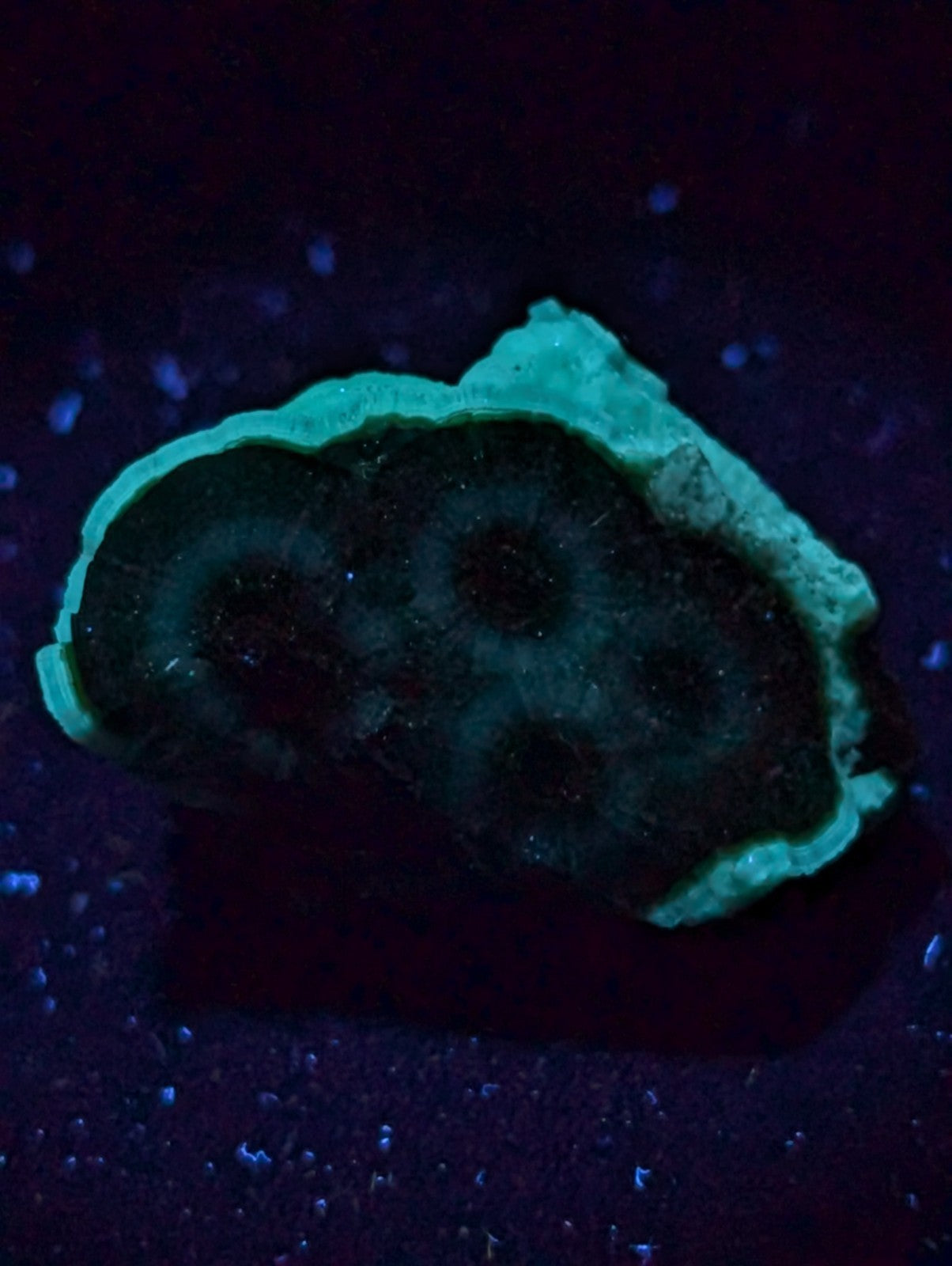A glowing green geode with a rough, textured exterior and concentric circular patterns inside.