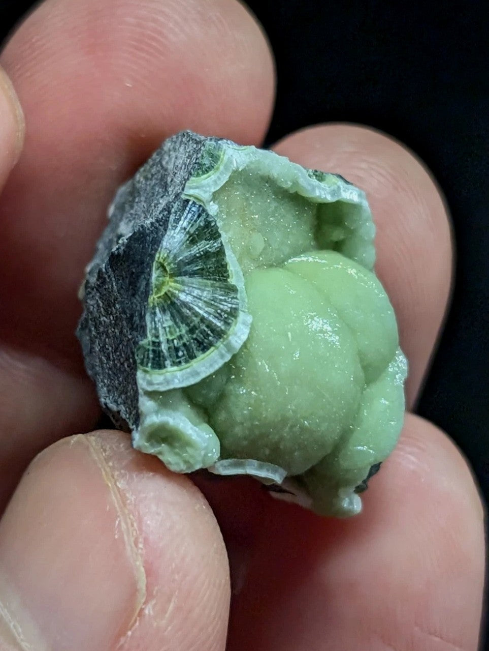 A hand holds a small, naturally formed green mineral specimen featuring a delicate, fan-like crystalline structure embedded in its surface.