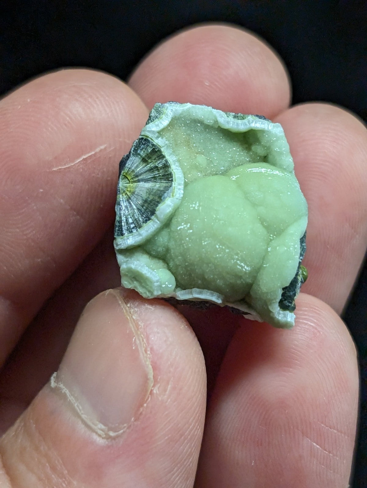 A pale green, irregularly shaped mineral specimen with a textured surface and darker green concentric patterns.