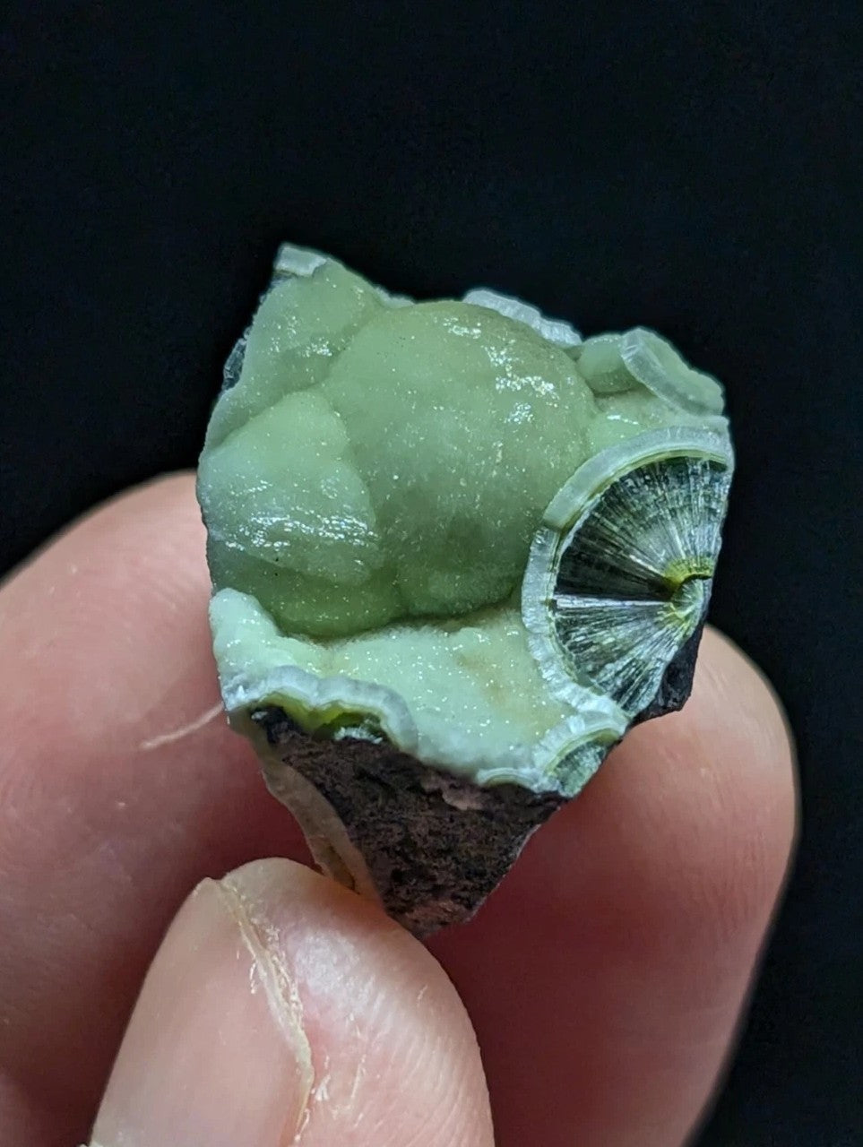 A pale green, naturally formed mineral specimen with a smooth, rounded surface and intricate crystalline patterns.