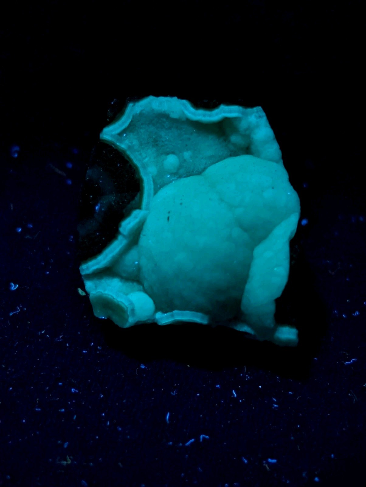 A glowing turquoise mineral specimen with a rough, irregular surface and layered internal structure.
