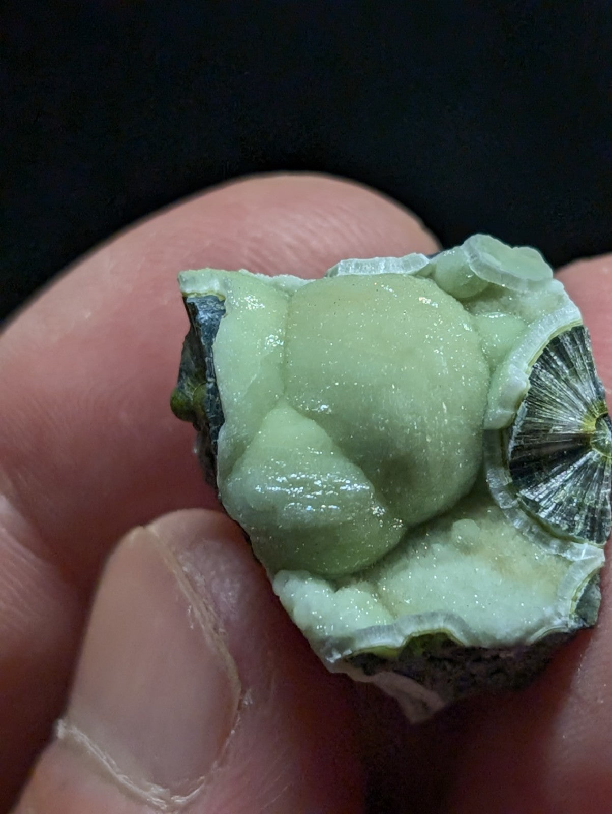 A pale green, glossy mineral specimen with rounded nodules and a fan-shaped crystalline structure.