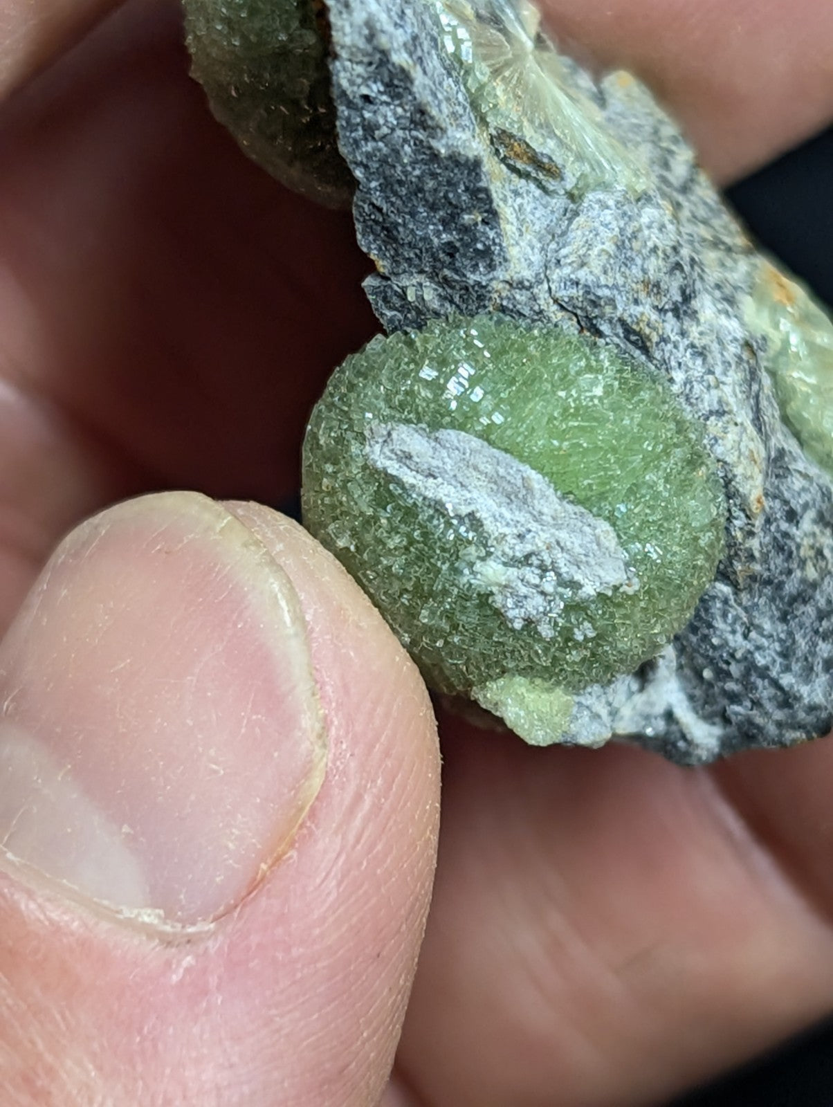 A smooth, translucent green gemstone nestled within a rough gray rock matrix.