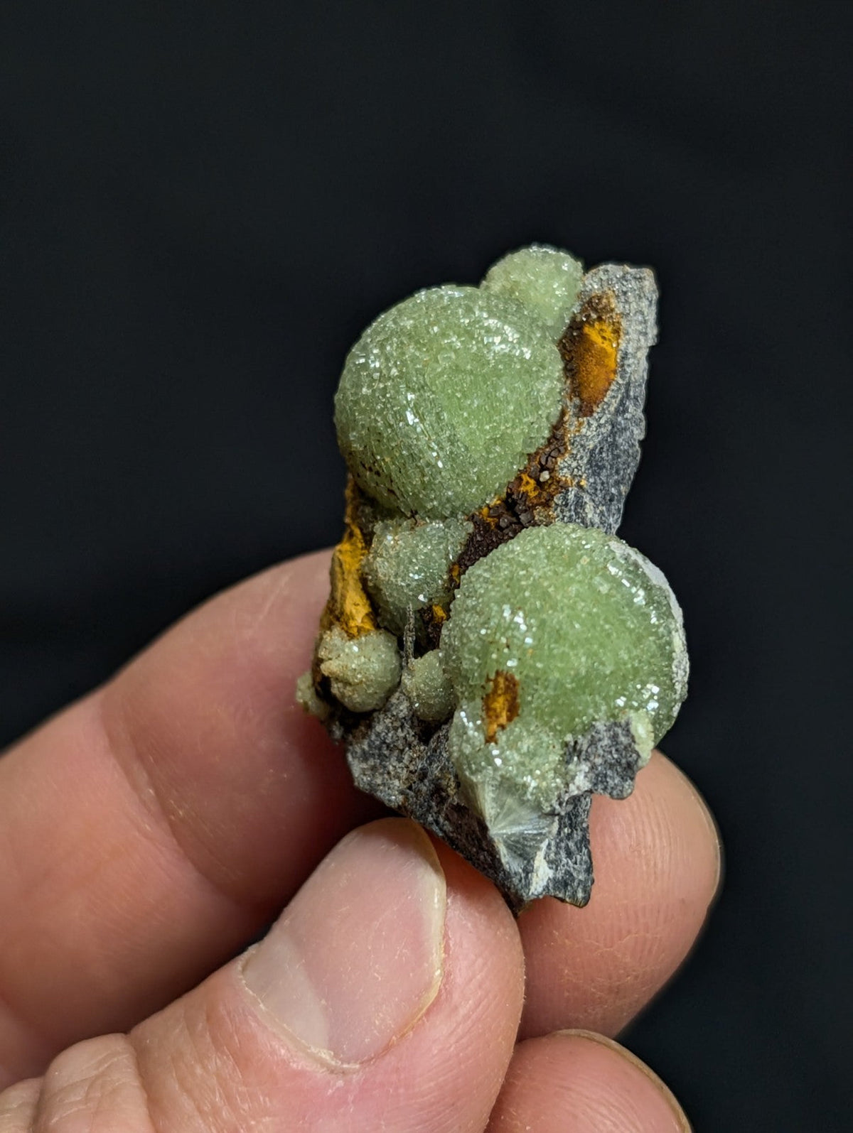 A hand holds a mineral specimen featuring two prominent, rounded green crystals with a slightly rough texture and subtle white speckles, set against a dark gray matrix that contains patches of orange-yellow material.