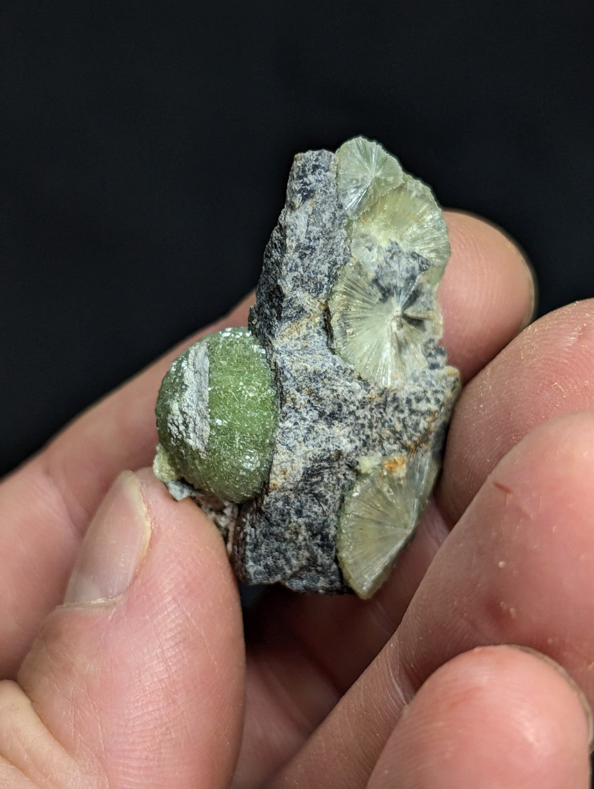A hand holds a natural mineral specimen featuring a green, rounded gemstone nestled within a grayish rock matrix that contains translucent, fan-shaped crystals.
