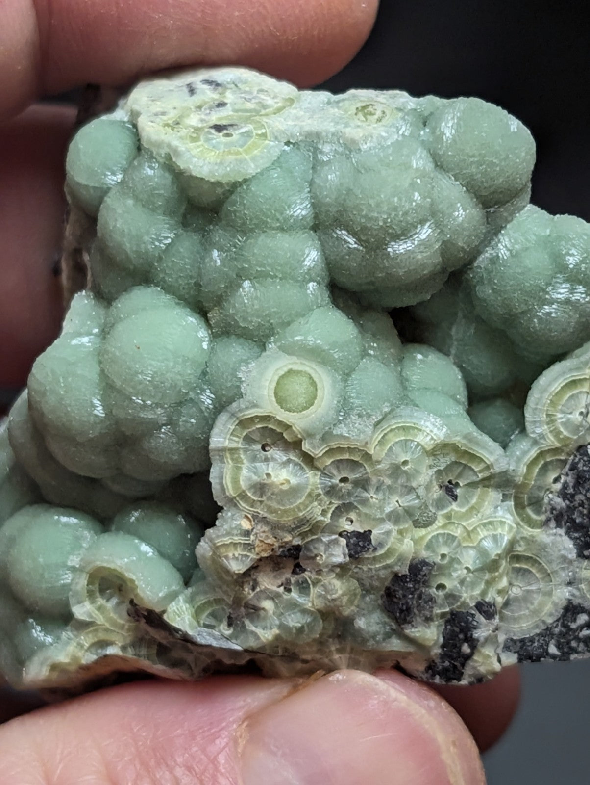 A pale green, bumpy mineral specimen with concentric circular patterns and a slightly translucent texture.