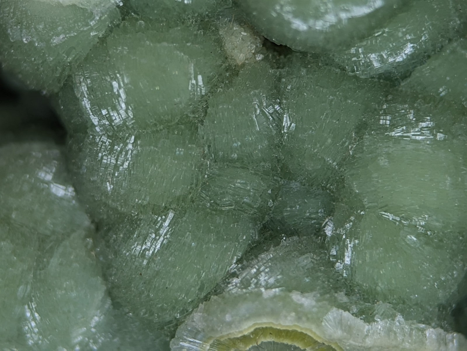 A cluster of translucent green geodes with a crystalline, honeycomb-like structure and subtle internal striations.