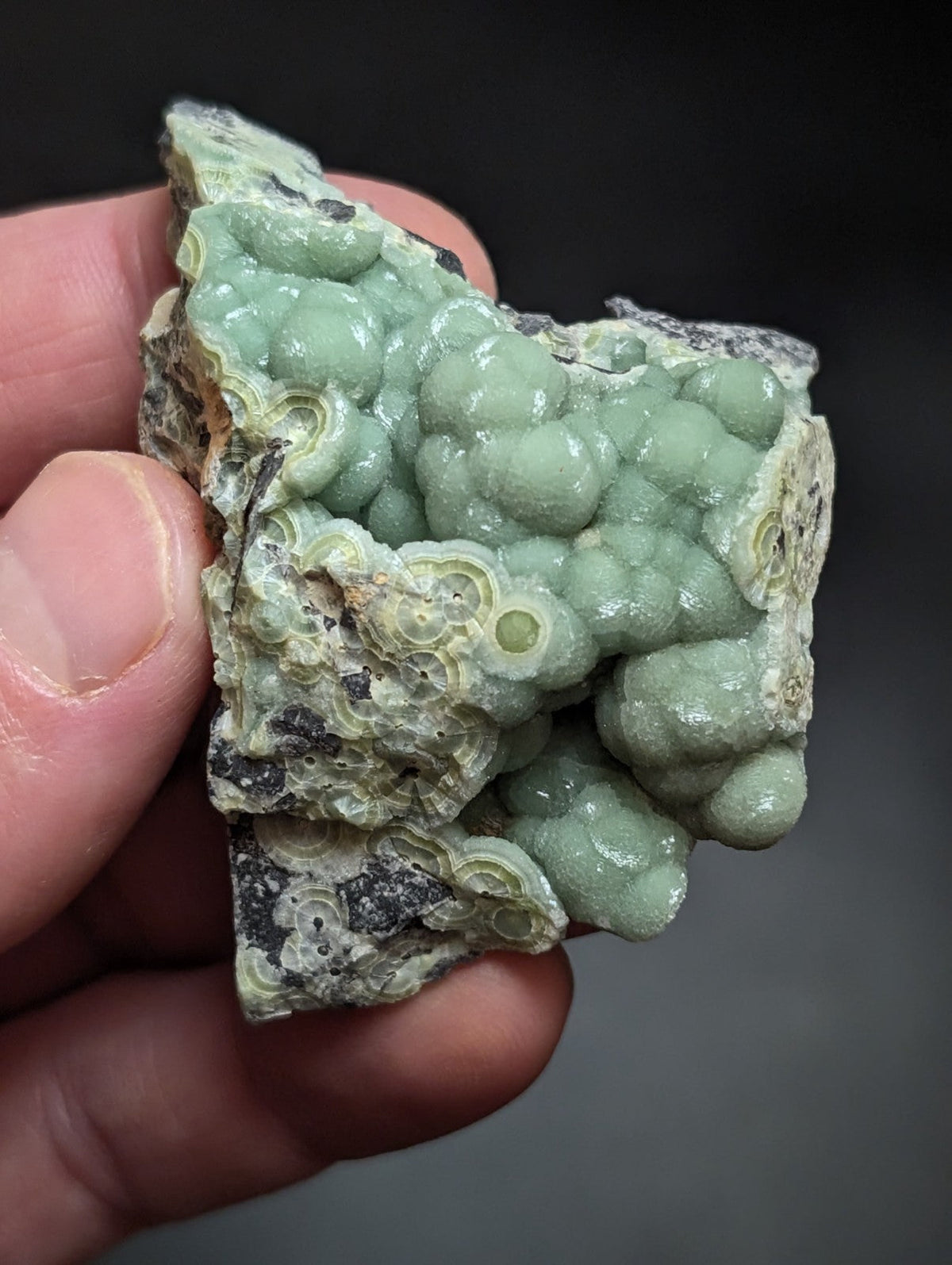 A hand holds a light green, bumpy mineral specimen with concentric circular patterns and darker grayish patches.