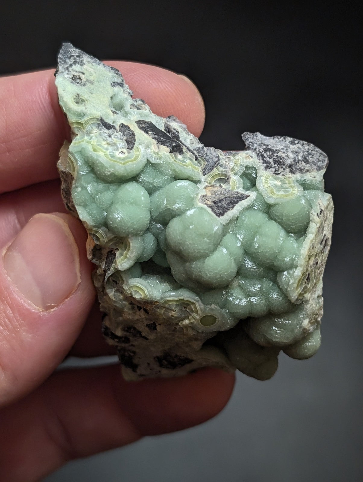 A hand holds a light green, bumpy mineral specimen with dark gray patches and layered textures.