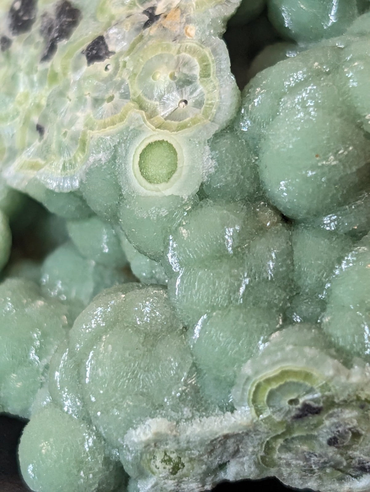 A cluster of translucent green aventurine geodes with intricate, circular internal patterns and a glossy, crystalline surface.