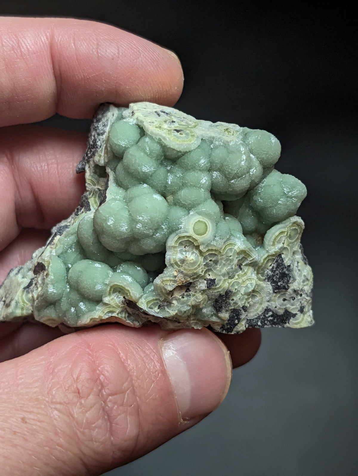 A hand holds a light green, bumpy mineral specimen with rounded nodules and intricate layered patterns.