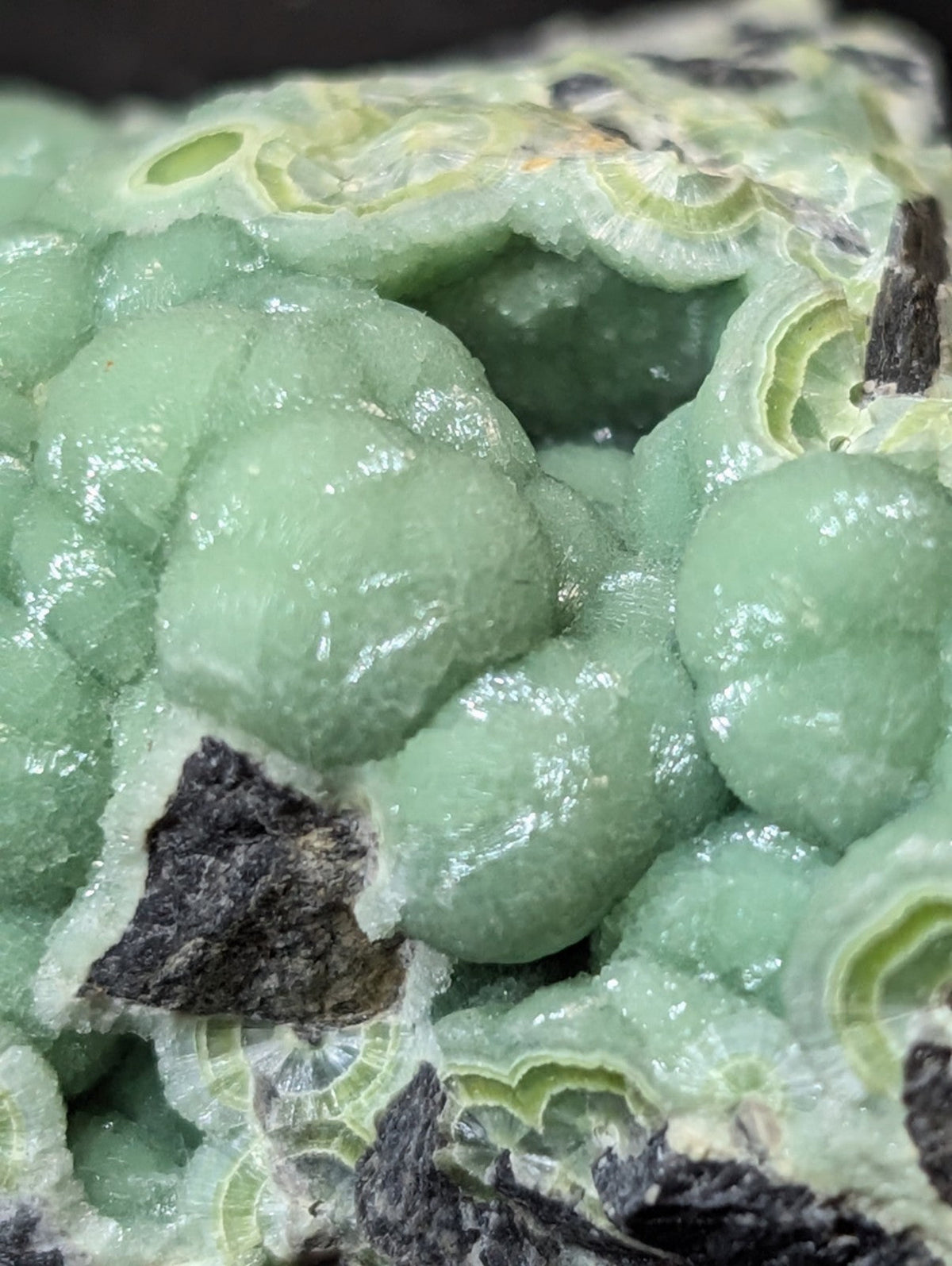 A vibrant green, translucent mineral specimen with rounded, bubble-like formations and concentric banding patterns.