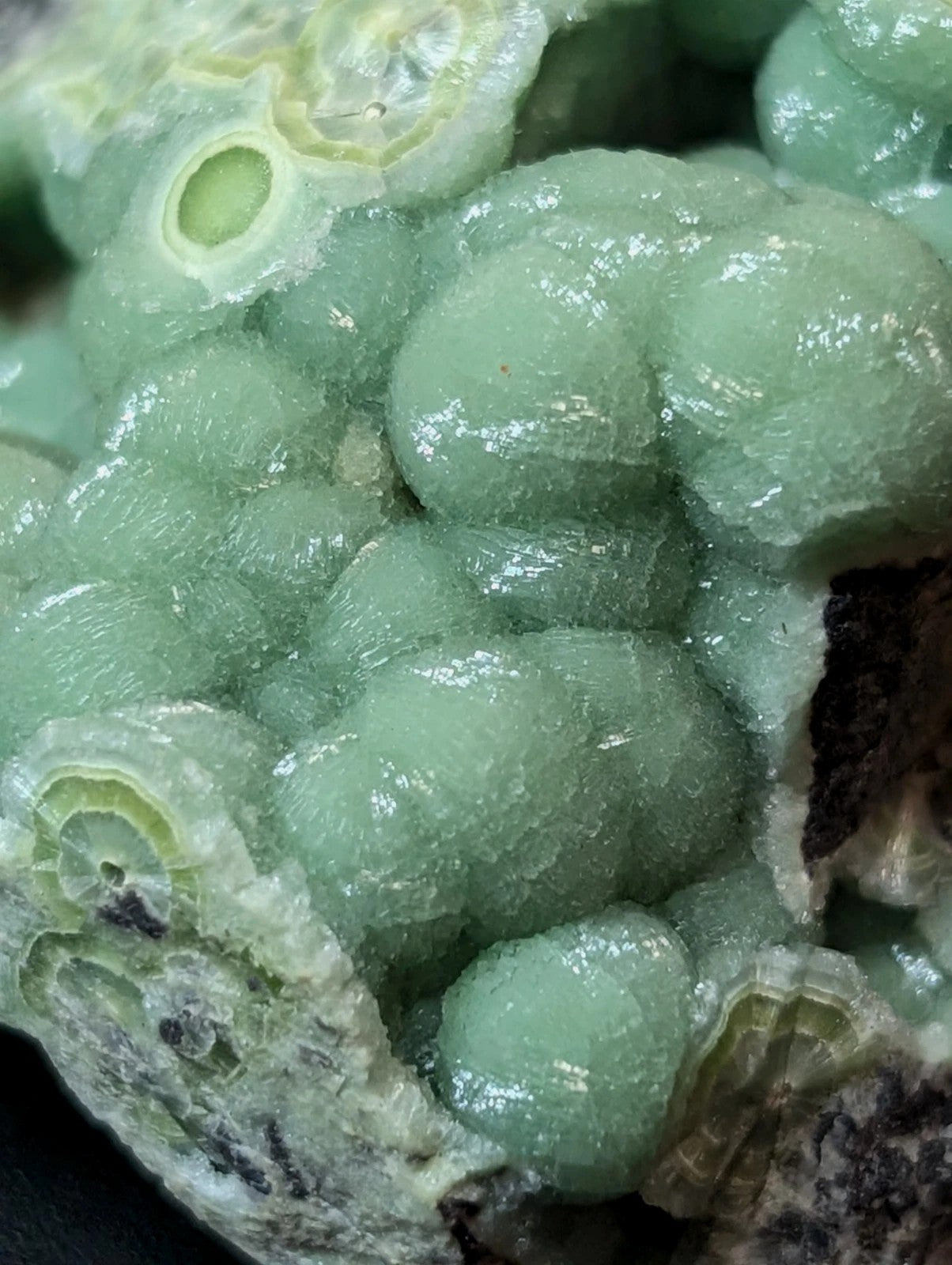 A cluster of translucent, light green geodes with a glossy, bubble-like texture and concentric ring patterns.