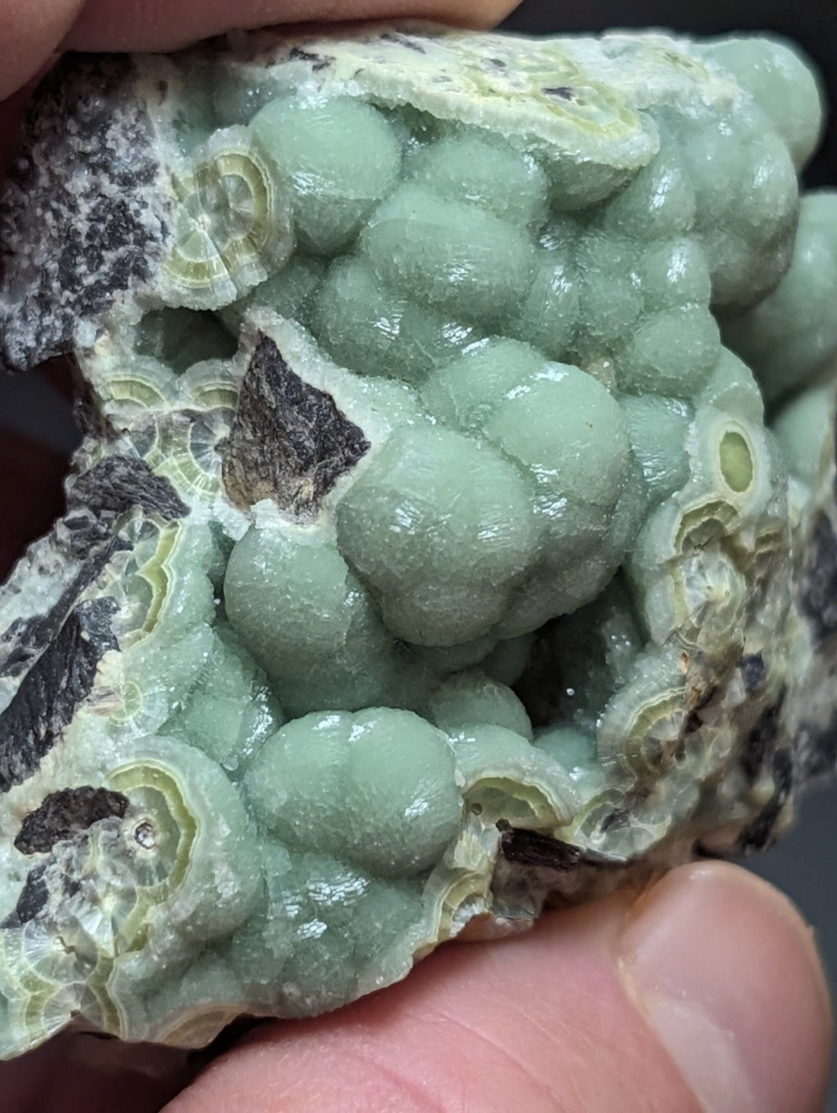 A pale green, translucent mineral specimen with rounded, bubble-like formations and concentric ring patterns.