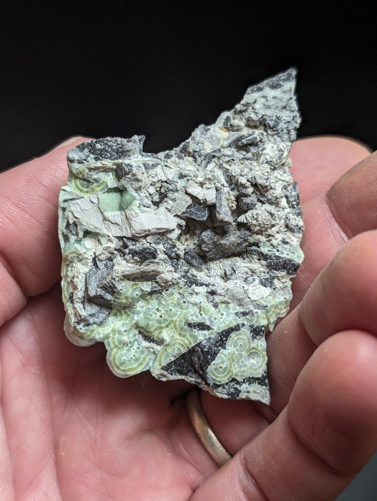 A hand holds a rough, irregularly shaped piece of green and gray mineral with distinctive concentric circular patterns.