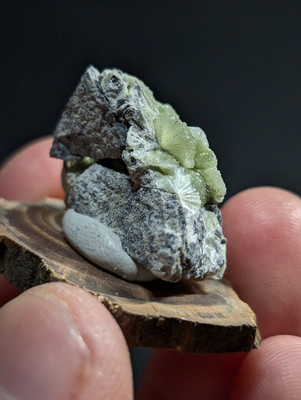 A striking green mineral specimen with a crystalline, fan-like structure nestled within dark gray rock matrix.