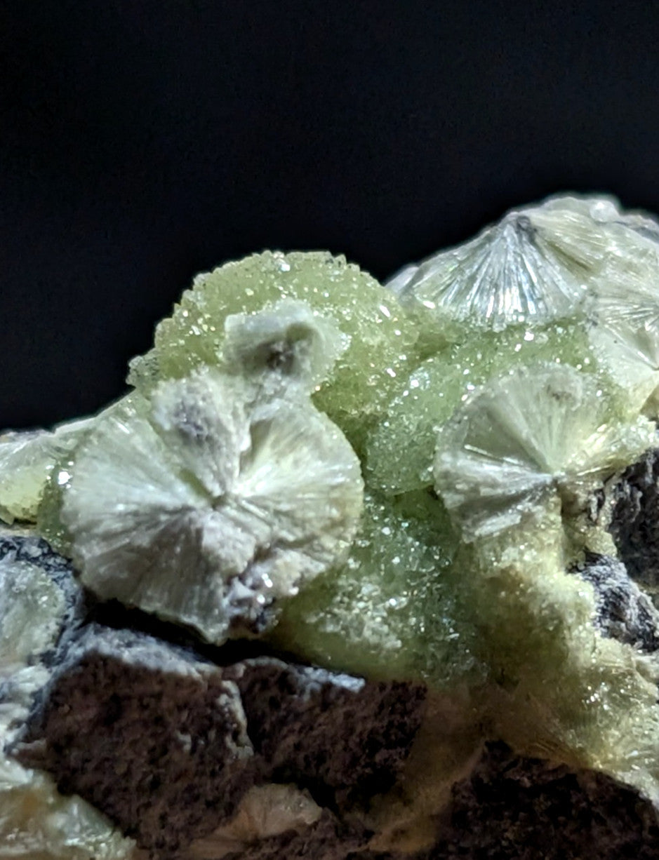 A cluster of translucent, pale green and white crystalline formations with fan-shaped structures.