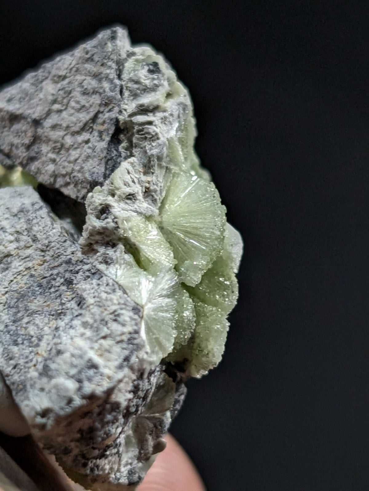 A pale green, translucent mineral specimen with radiating crystalline structures growing from a rough gray rock matrix.