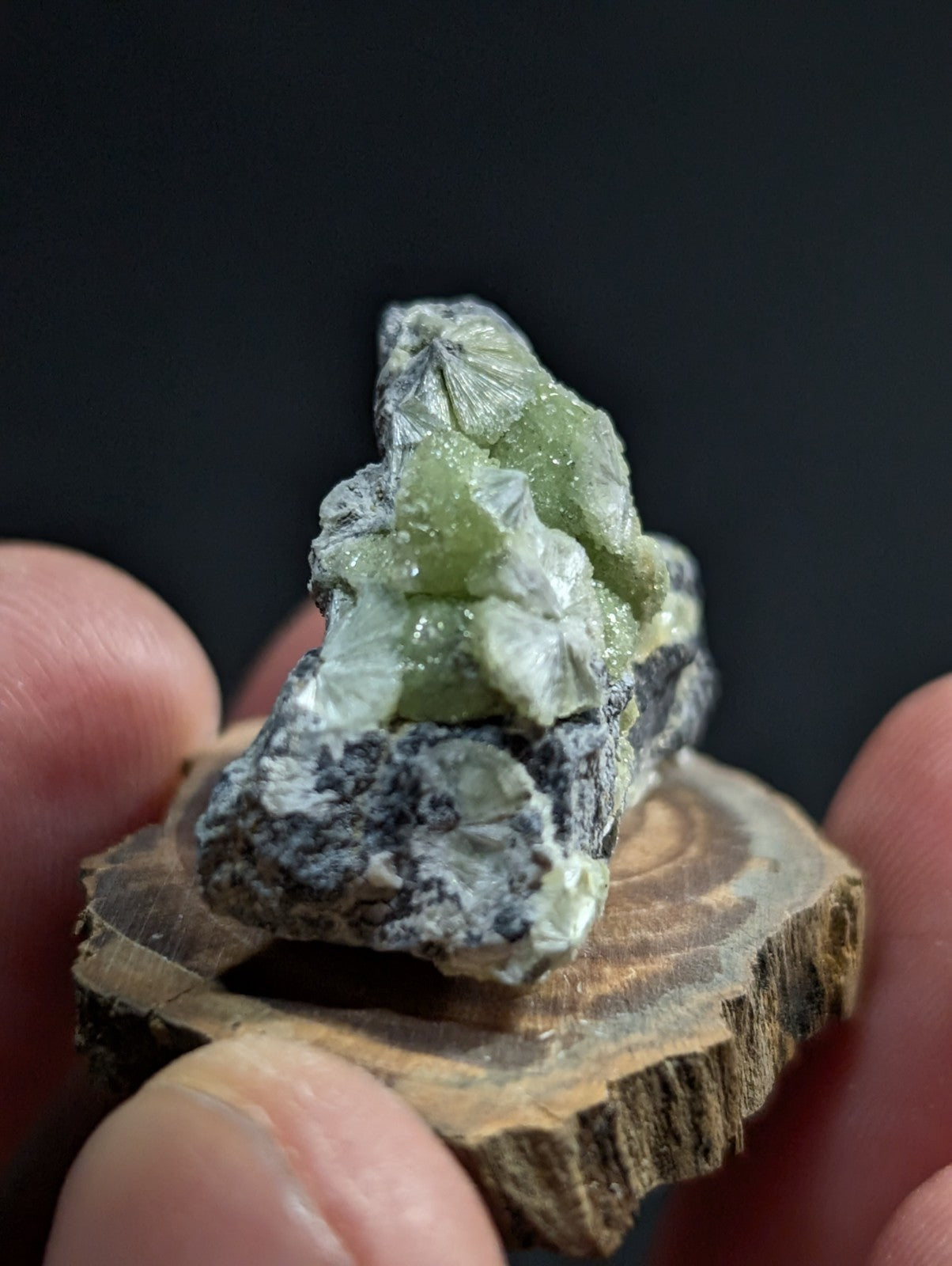 A green, crystalline mineral specimen with a rough, textured surface and translucent facets rests on a circular wooden slice.